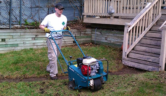 Lawn Aeration