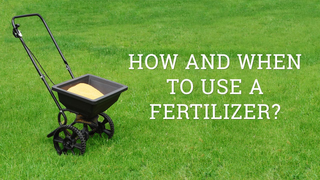 Lawn Fertilizer 101: How and when to use fertilizers in MN