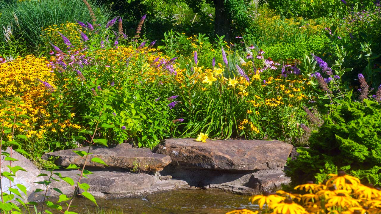 Landscaping for Butterfly or Bee Gardens