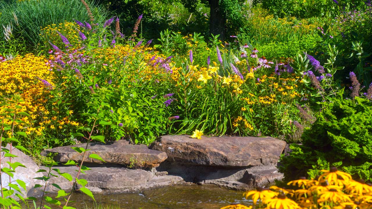 create a bee garden create a bee garden