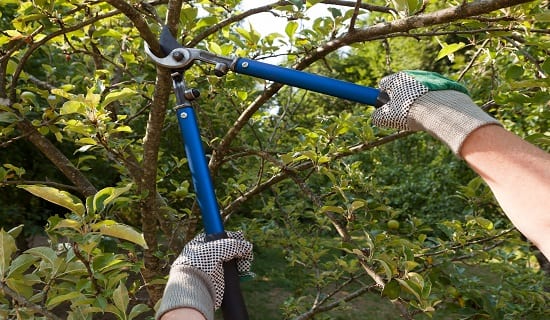 Corrective Pruning