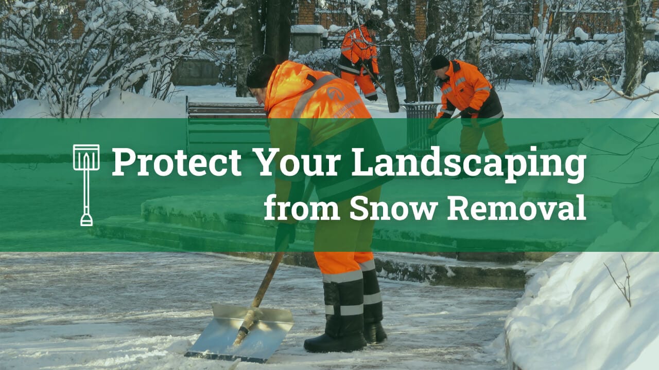Protect Your Landscaping from Snow Removal