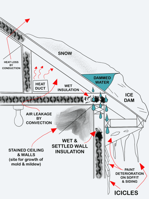 Cross Section of house roof with an ice dam