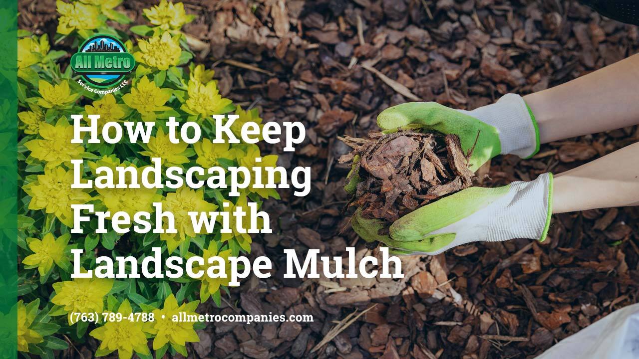 How to keep landscaping fresh with landscaping mulch