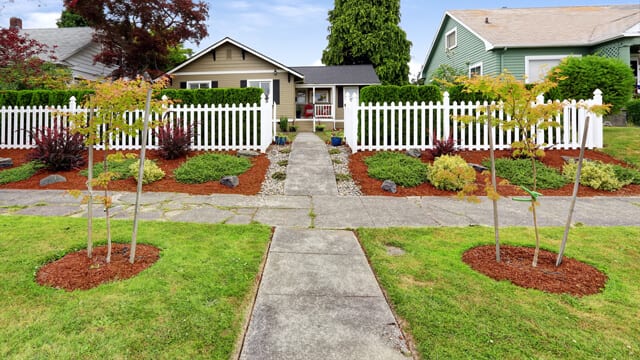 Mulch used to create a border around trees in front yard landscaping