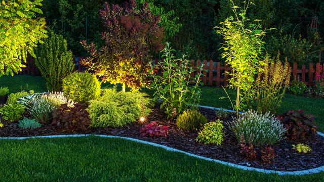 Landscape lighting creates a dramatic look to garden beds and trees at night. 