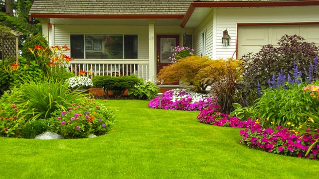 Garden beds with annuals and perennials can make your Minnesota yard beautiful all season long. 