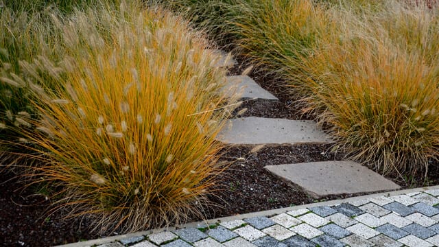 Stone walkways are a perfect solution to high traffic areas or areas where the grass is impossible to grow. 