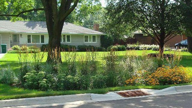 Rain Garden used in front yard landscaping for drought resistant areas and rebates.