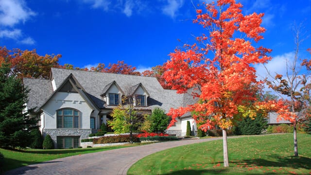 Red maple tree in the fall is ideal for landscaping ideas for your front yard in the fall. 