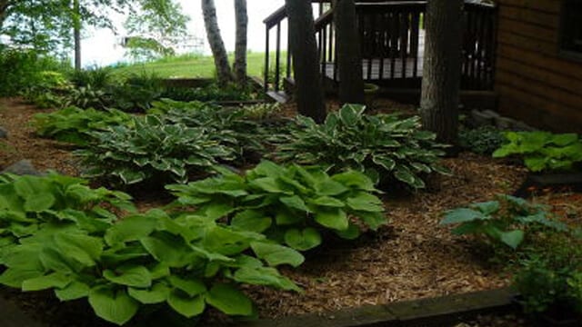 A lake home that utilizes shaded areas for shade-tolerant plants where grass would not grow otherwise.