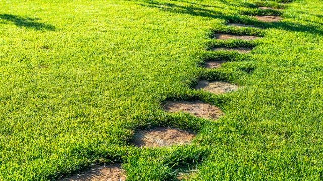A simple stone walkway used in high traffic areas where grass may not grow as easily.