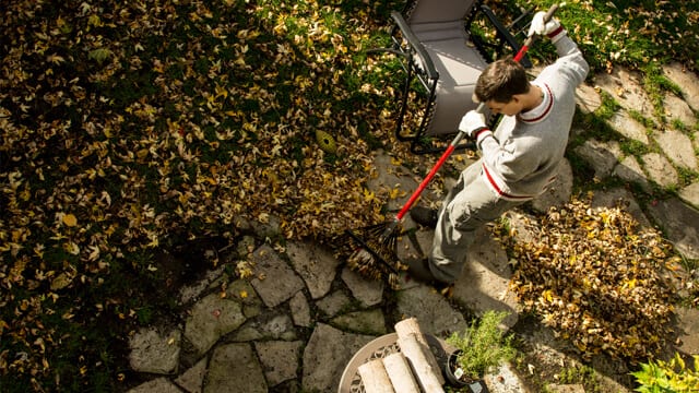 rake for spring cleanup and landscaping