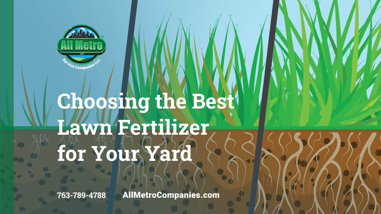 Choosing the Best Lawn Fertilizer for Your Yard - All Metro Service