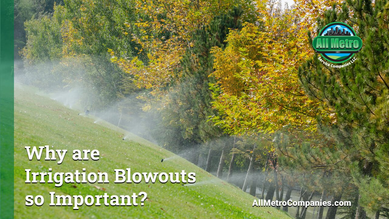 Why Irrigation Blowouts are Important in the Twin Cities