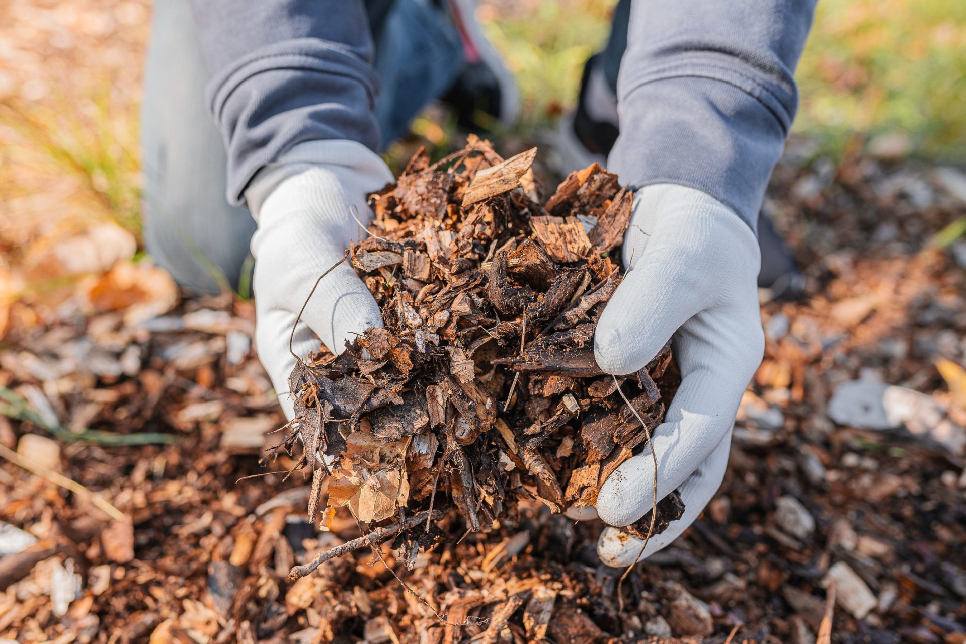 Turn Your Leaves Into Woodchips and Mulch_All Metro Companies