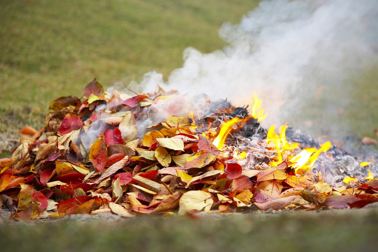 Should You Get Rid of Leaves by Burning Them_All Metro Companies