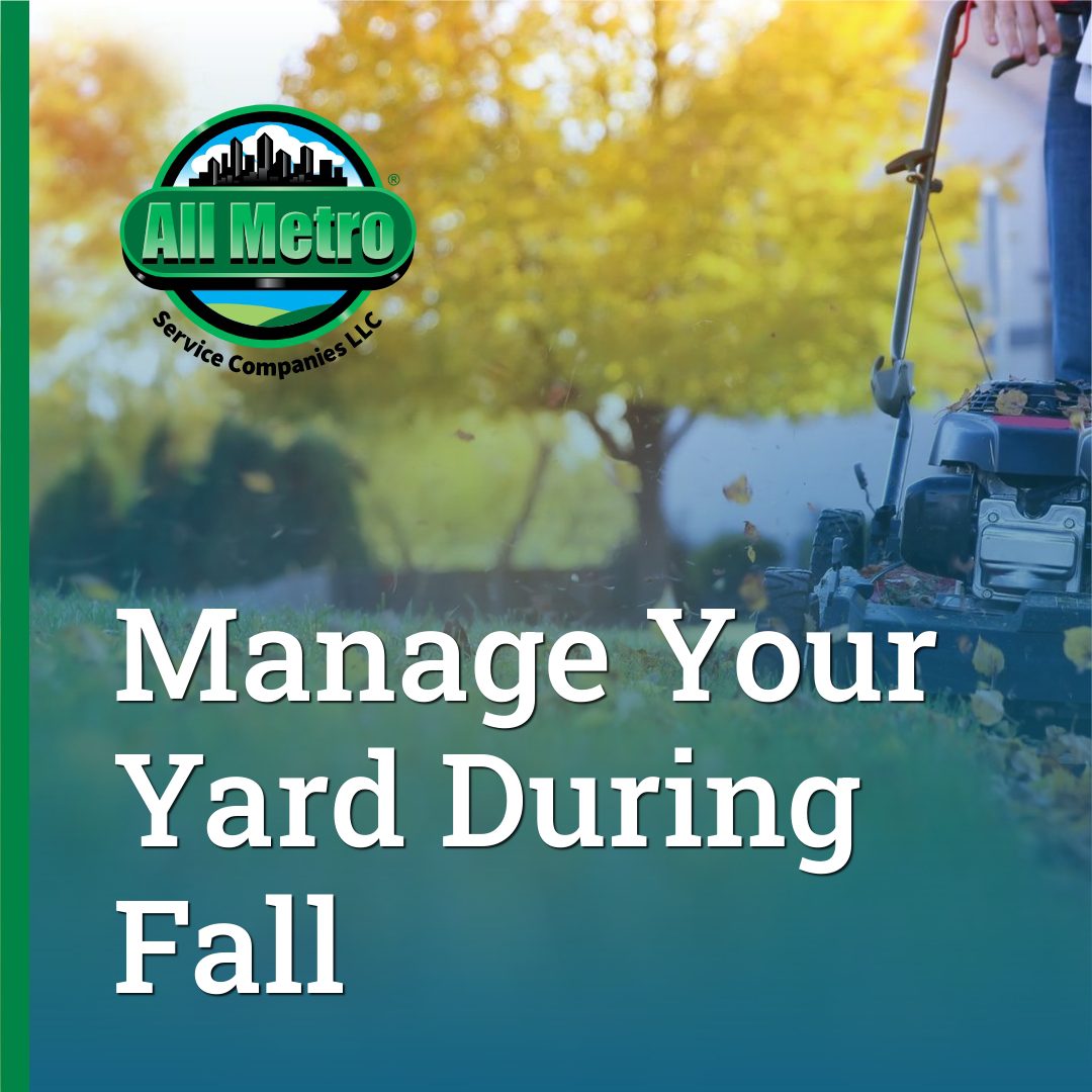 The Official Guide to Managing Your Yard During Fall_All Metro Companies