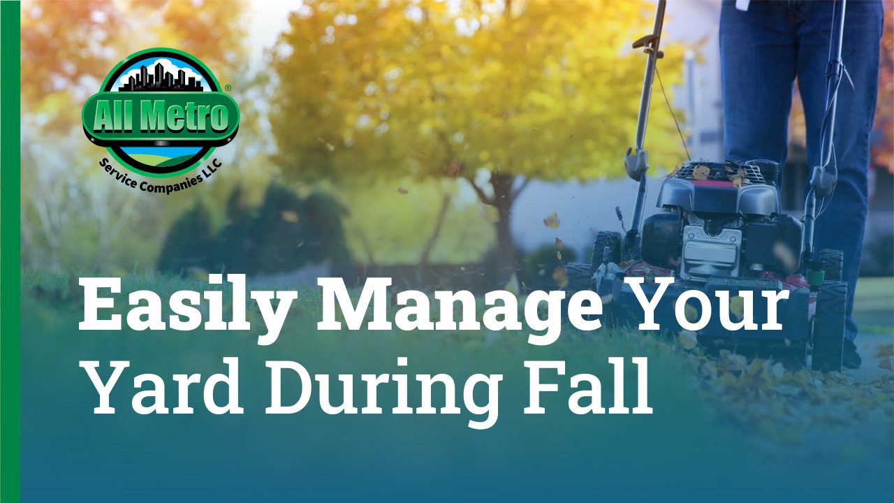 Official Guide to Easily Manage Your Yard in Fall - All Metro Companies
