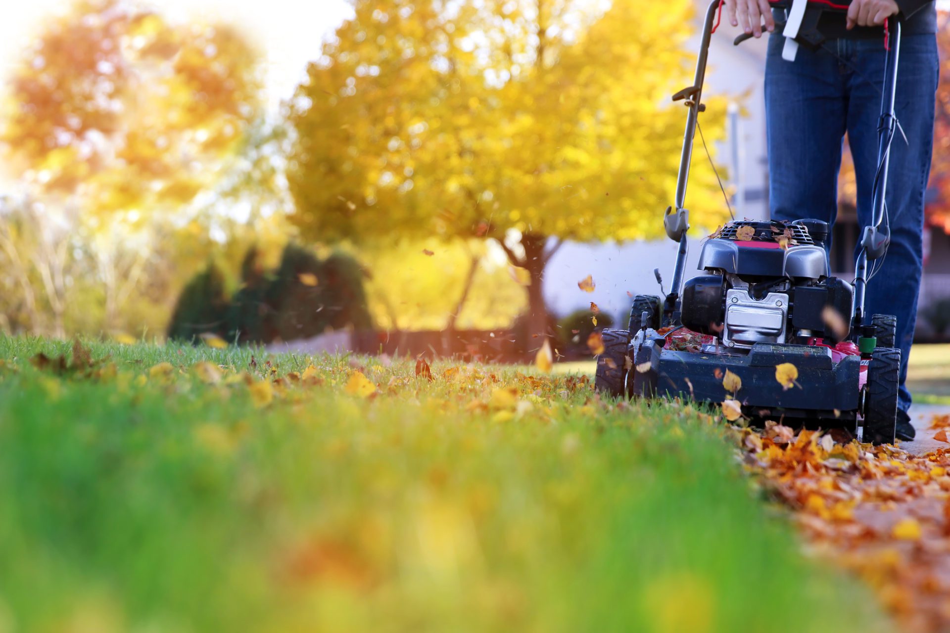 Tips to Manage Your Lawn and Garden During Fall