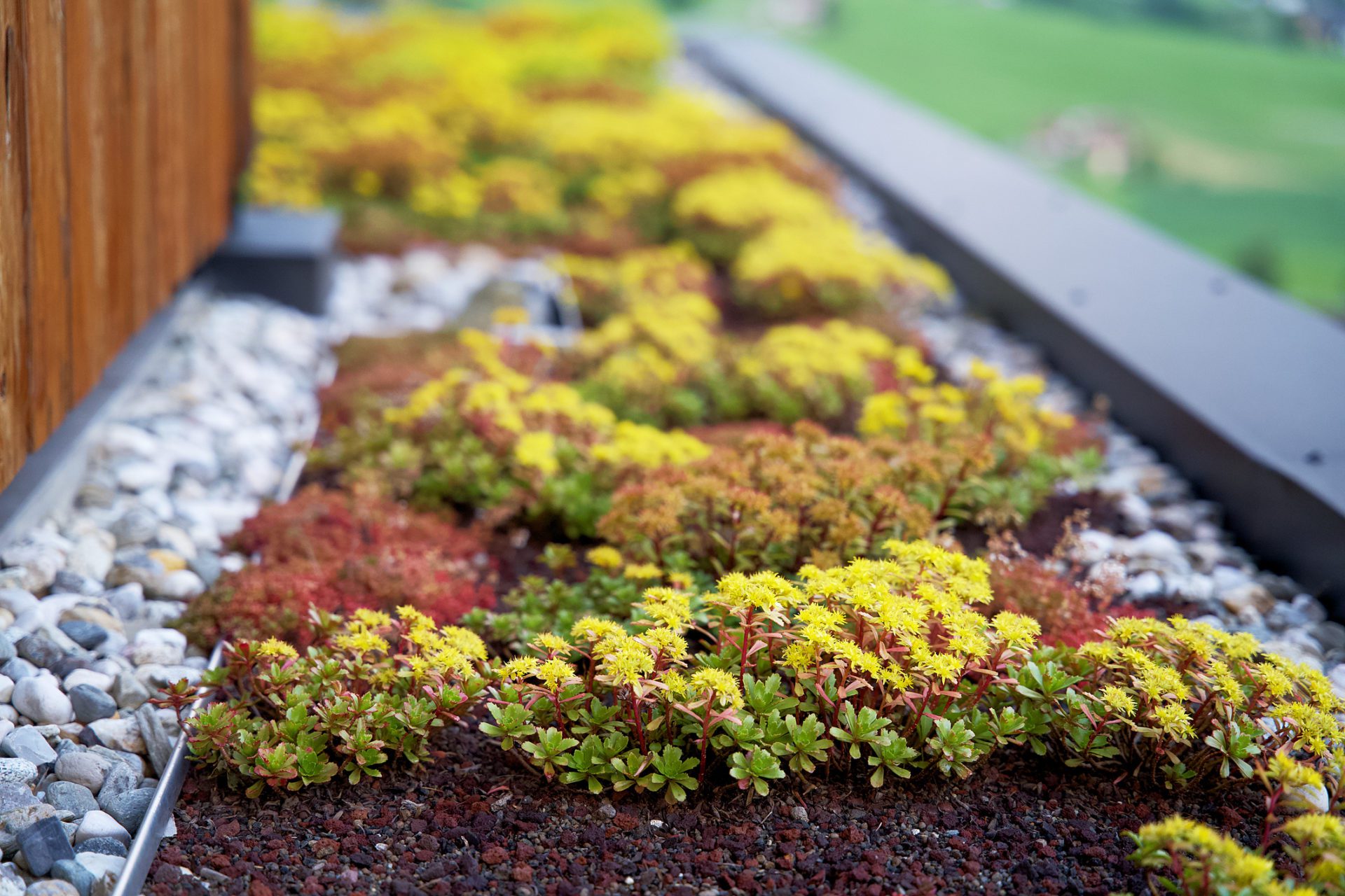 Ready to get started with your next landscaping project? - All Metro Companies