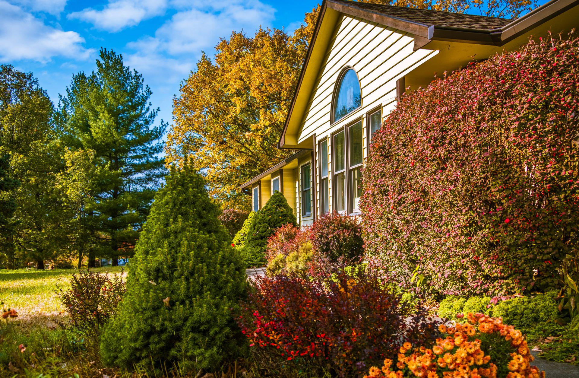 Landscaping in fall versus in spring- All Metro Companies