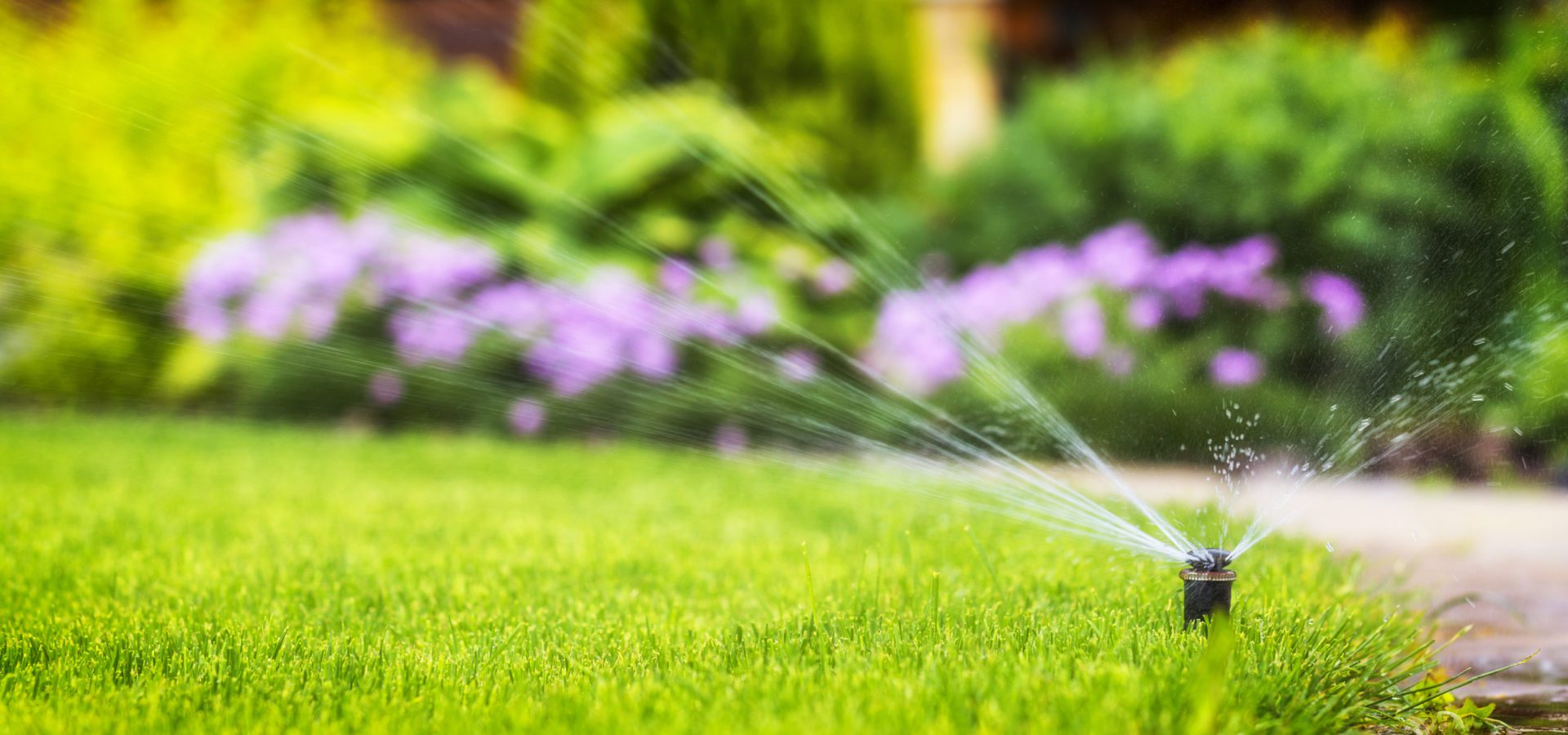 How to get your irrigation system ready for winter_All Metro Companies