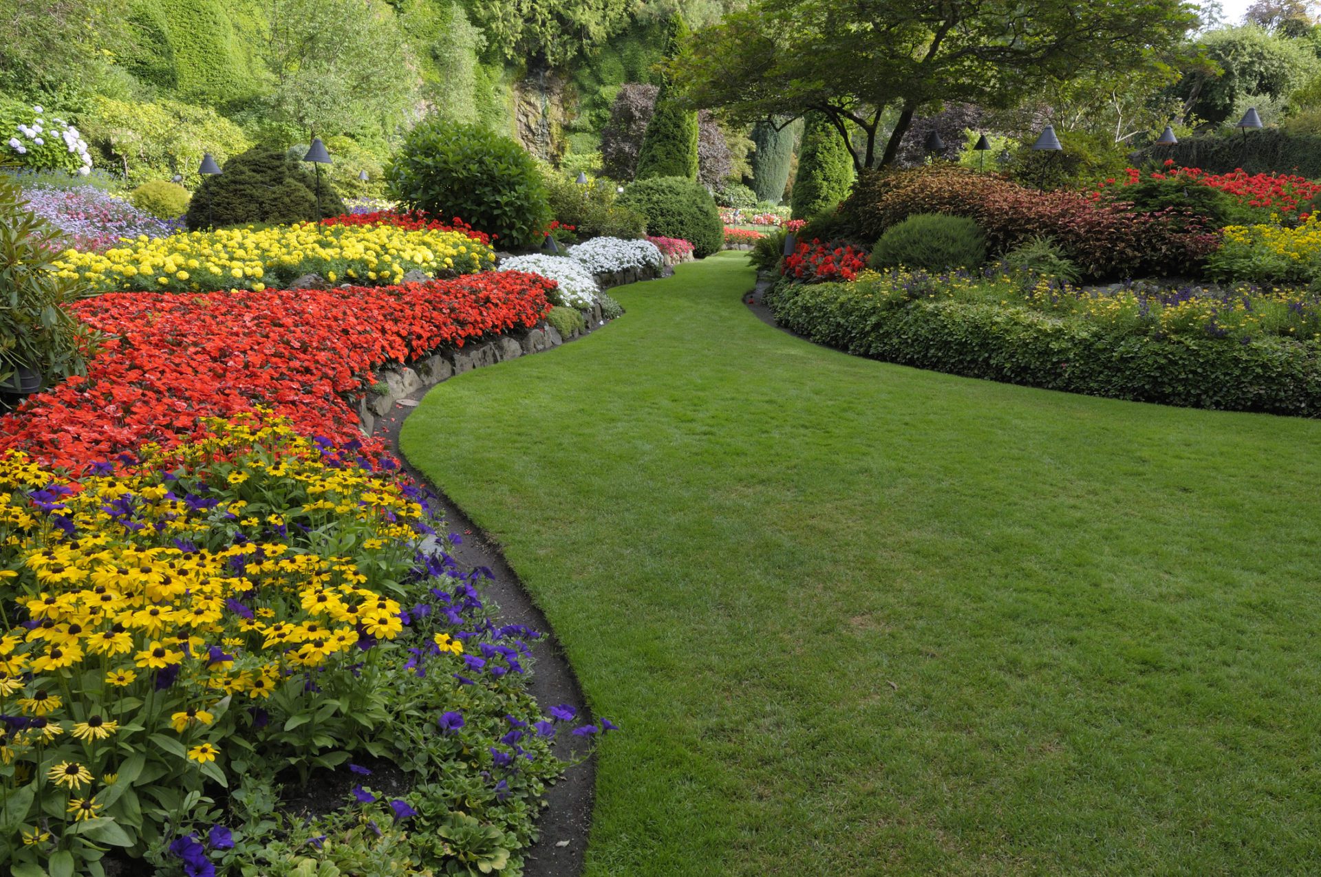 Hire a professional to help plan for spring - All Metro Companies
