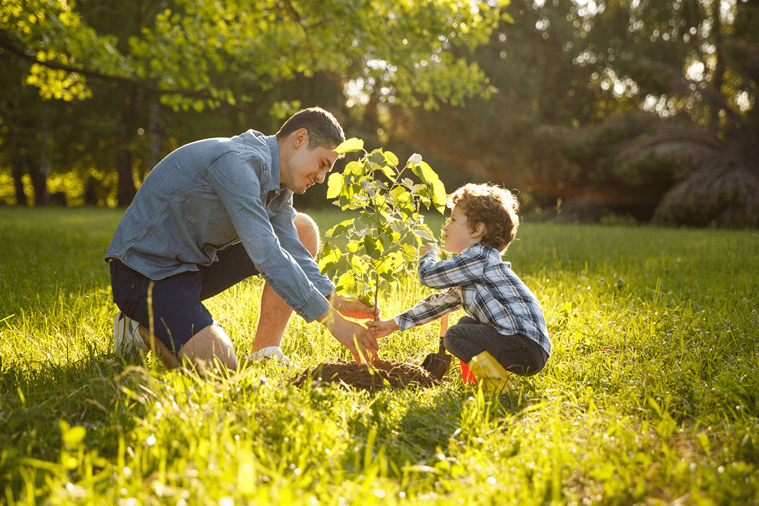 There's more variety in plants when you start from seeds