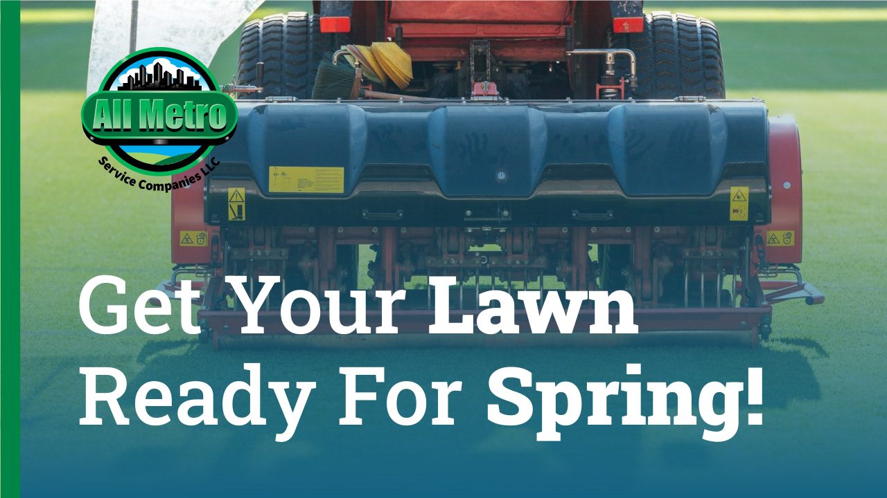 Lawn Care 101: Taking Care of Your Lawn During Spring