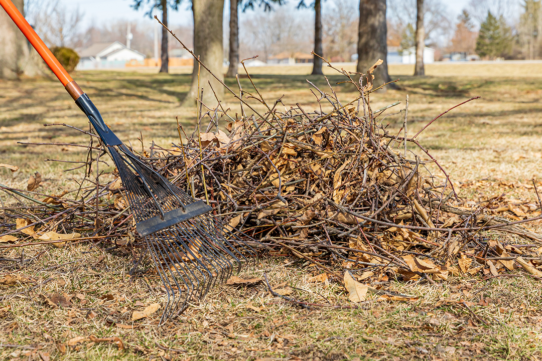 Clear the Debris From Your Yard After Winter
