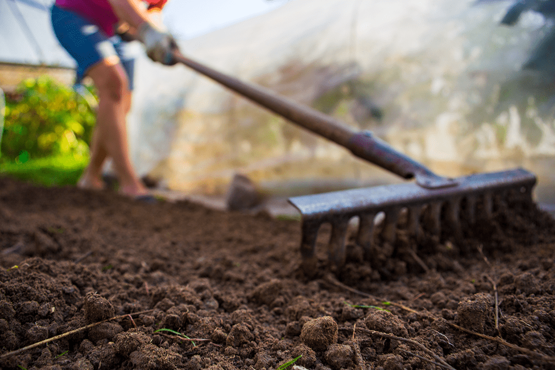 Prepare Your Lawn For Grass Seed