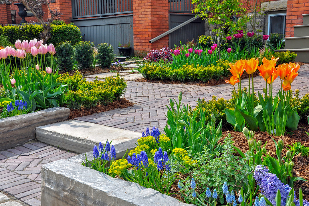 What is Hardscaping?