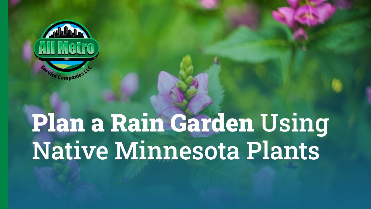 How to Plan a Rain Garden