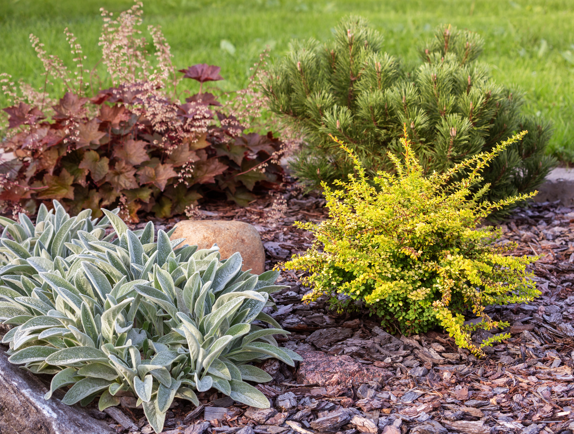 Be sure to choose the right size and texture of mulch for your landscaping.