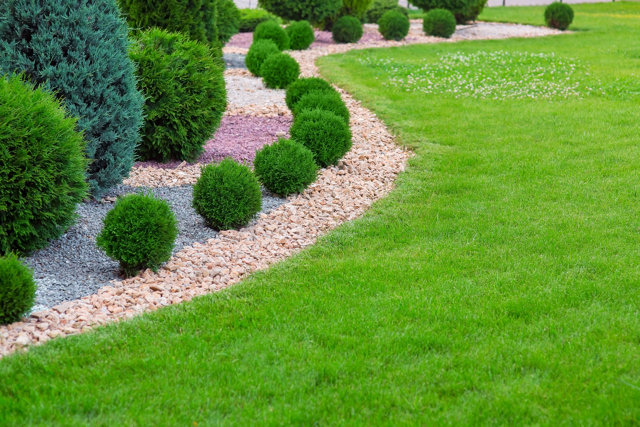 Organic mulch includes pine needles, shredded leaves, and wood chips.