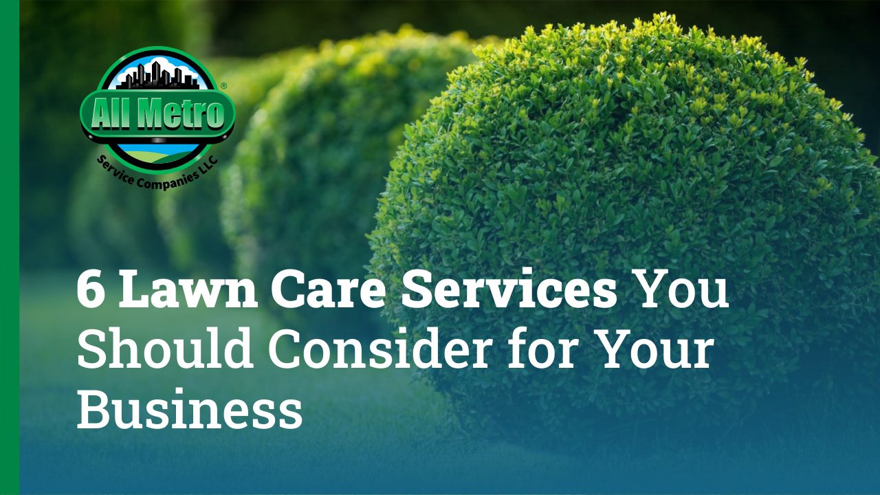 6 lawn care services you should consider for your business