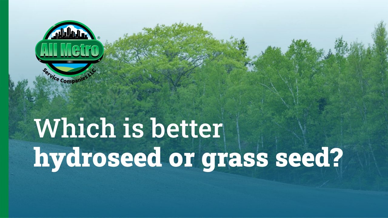Which is better hydroseed or grass seed?