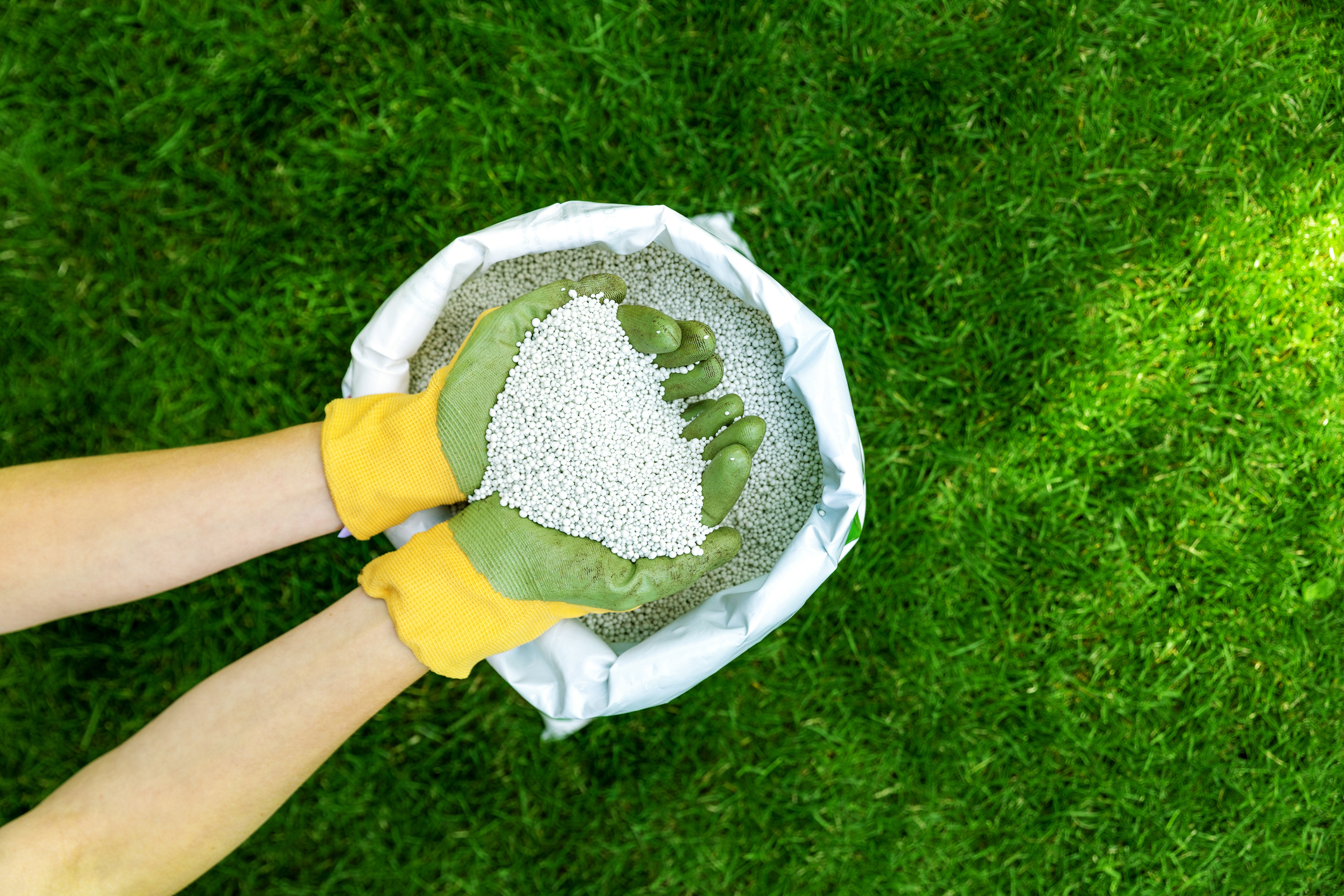 How to choose the right fertilizer