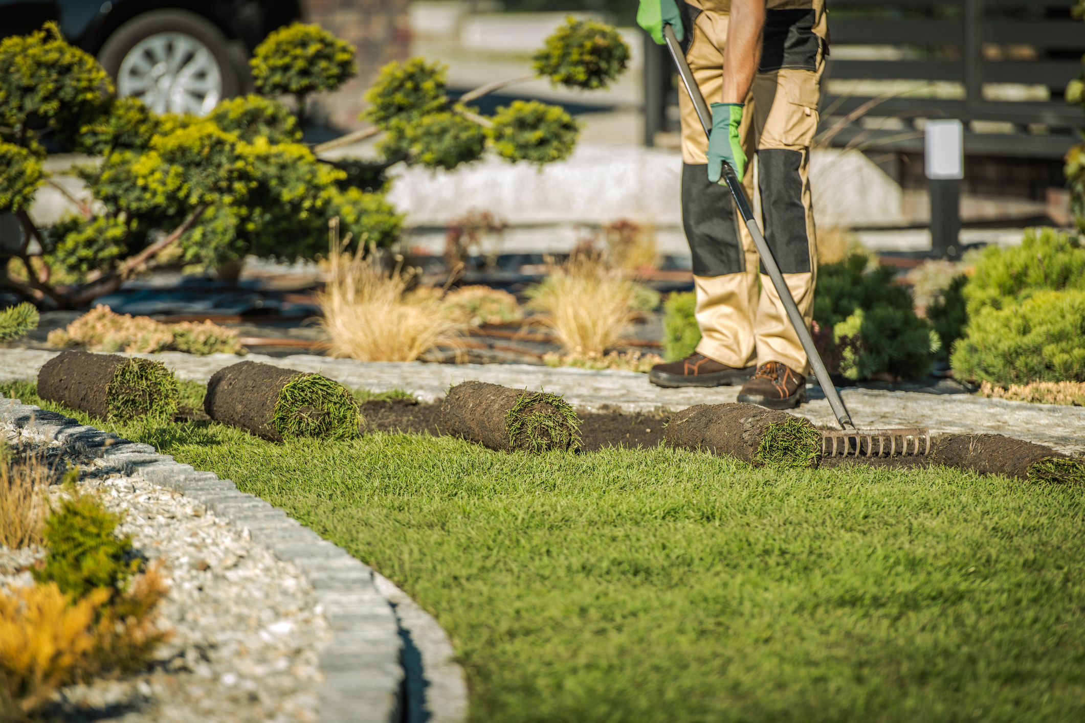 Landscape maintenance services like landscape design may be something business owners consider.