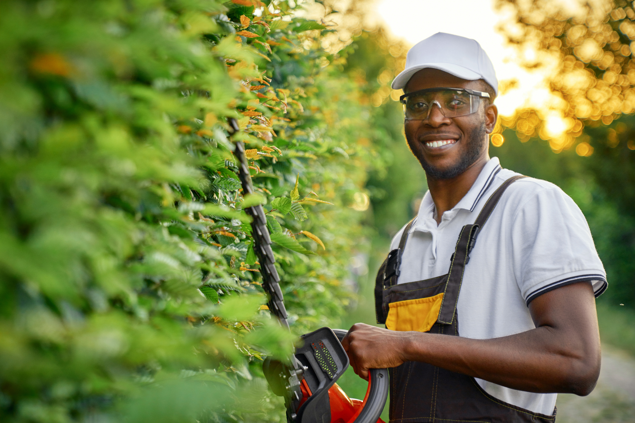 Professionals like the ones at All Metro Companies can help answer questions about fertilizing plants. 