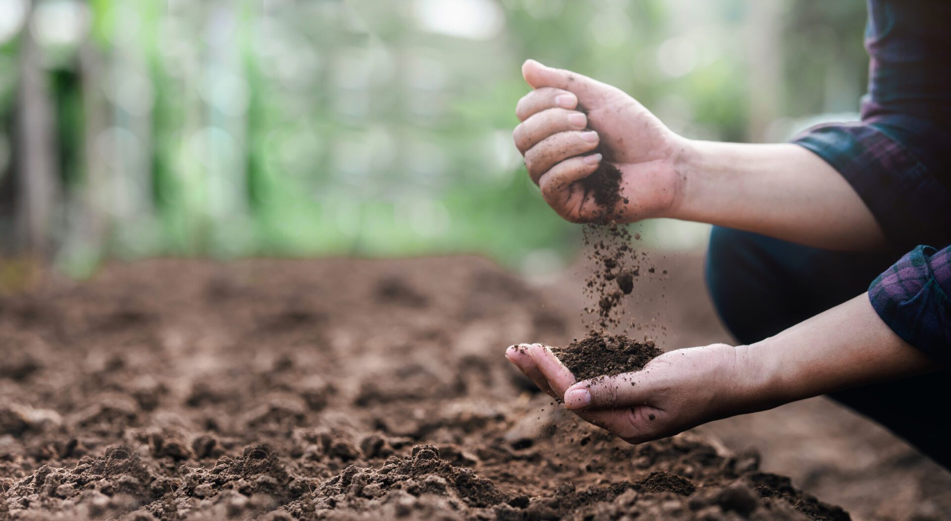 Prepare your soil before planting a new lawn.