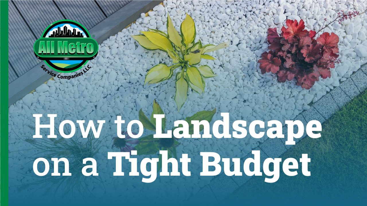 How to Landscape on a Tight Budget