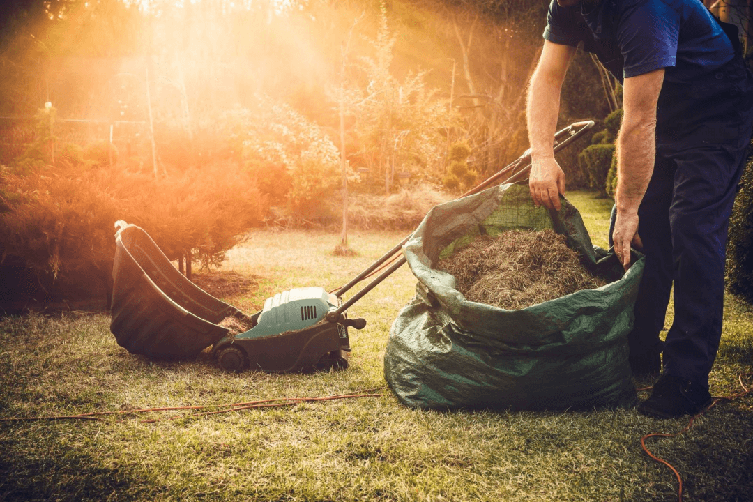 What is dethatching a lawn?