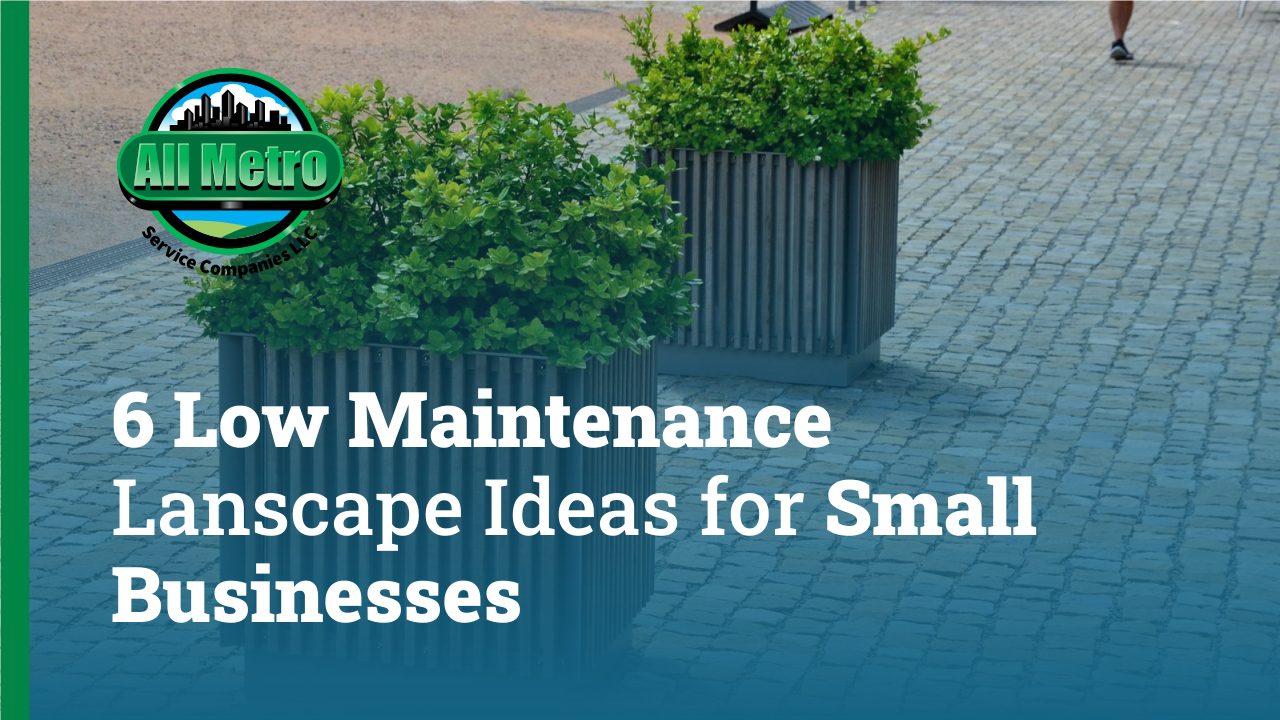 6 Low Maintenance Landscape Ideas for Small Businesses
