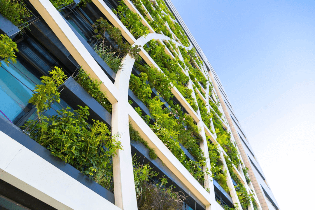 A green wall can be a great way to add to any eco-friendly landscaping.
