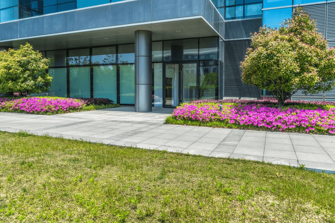 Colorful and native plants can help enhance your business property.