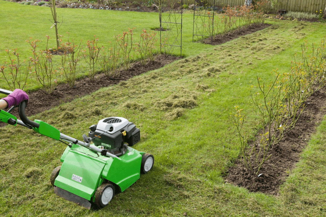 Using vertical mowers or power rakes can help create a healthier lawn.