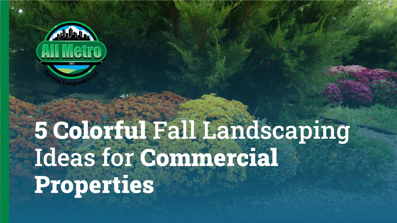 5 Colorful Fall Landscaping Ideas For Commercial Properties
