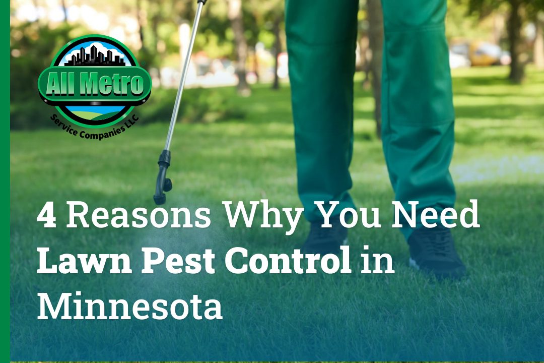 4 Reasons Why You Need Lawn Pest Control in Minnesota